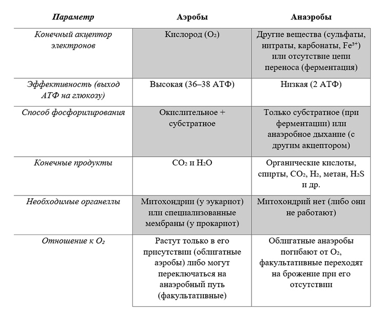 Учебник по биологии 10 класс. Авторы: Пасечник, Каменский. Страница 159, год 2026.