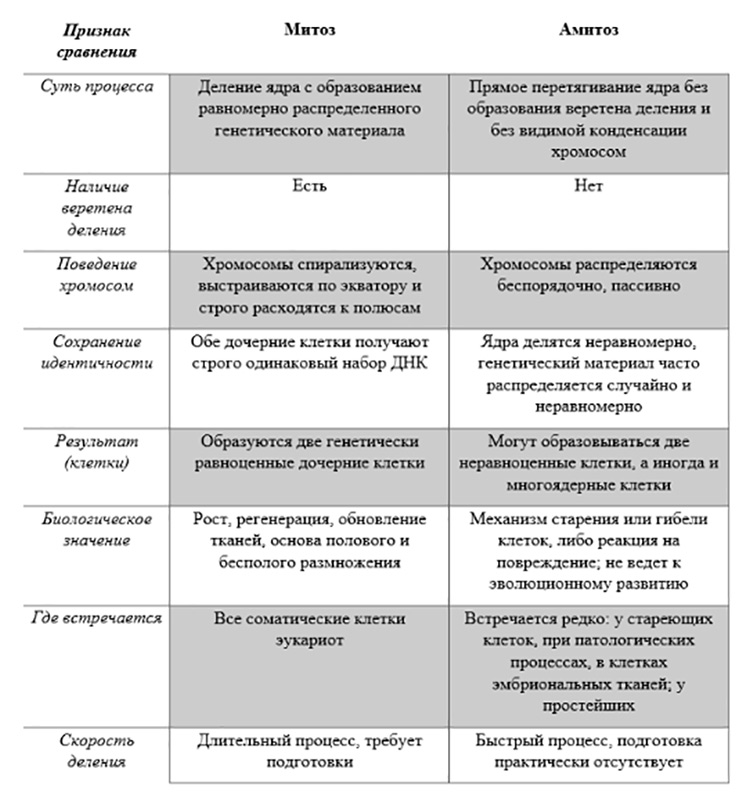 Учебник по биологии 10 класс. Авторы: Пасечник, Каменский. Страница 188, год 2026.