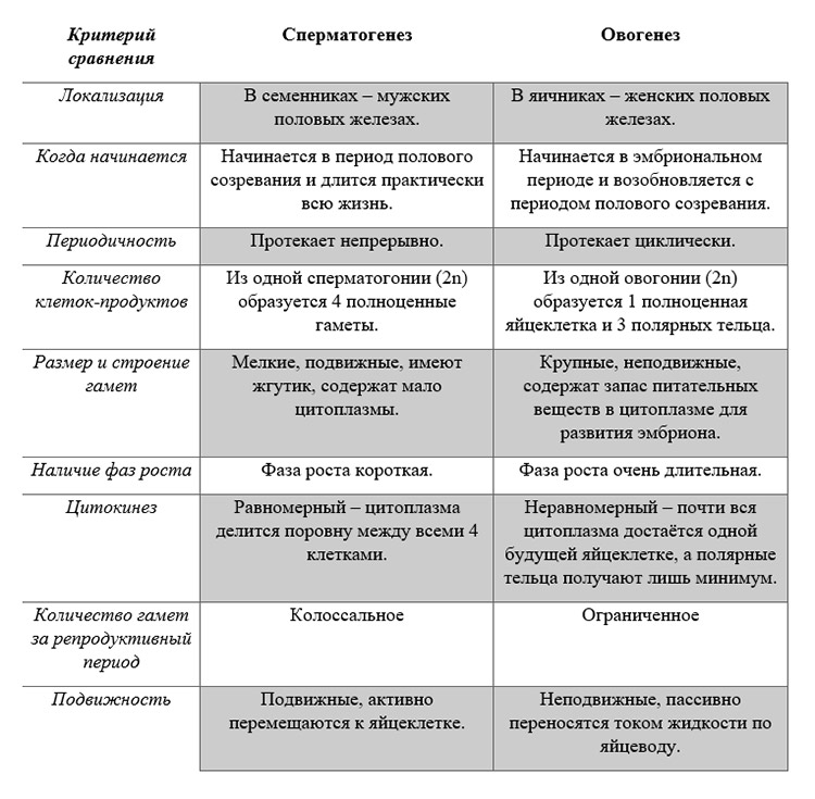 Учебник по биологии 10 класс. Авторы: Пасечник, Каменский. Страница 196, год 2026.