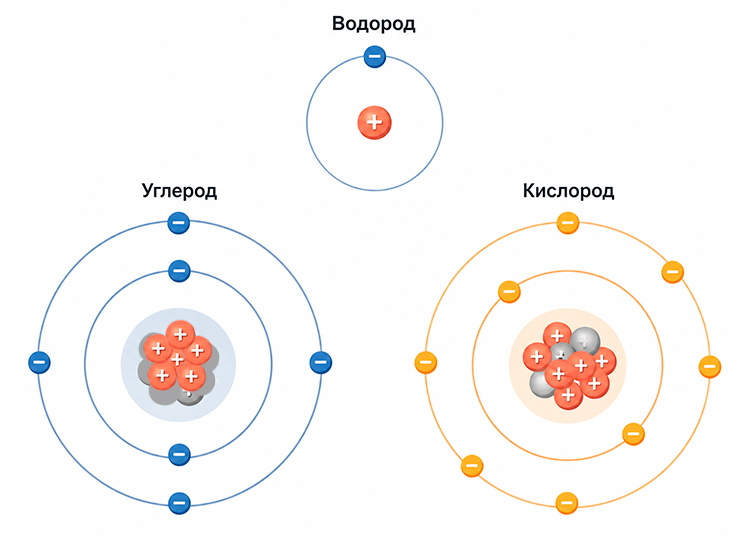 Учебник по биологии 10 класс. Авторы: Пасечник, Каменский. Страница 43, год 2026.