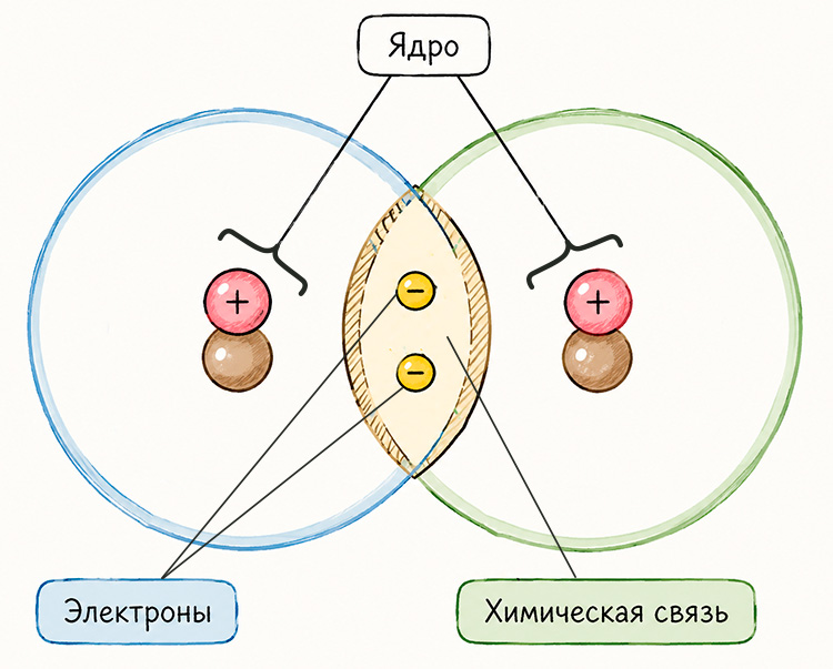 Учебник по биологии 10 класс. Авторы: Пасечник, Каменский. Страница 44, год 2026.