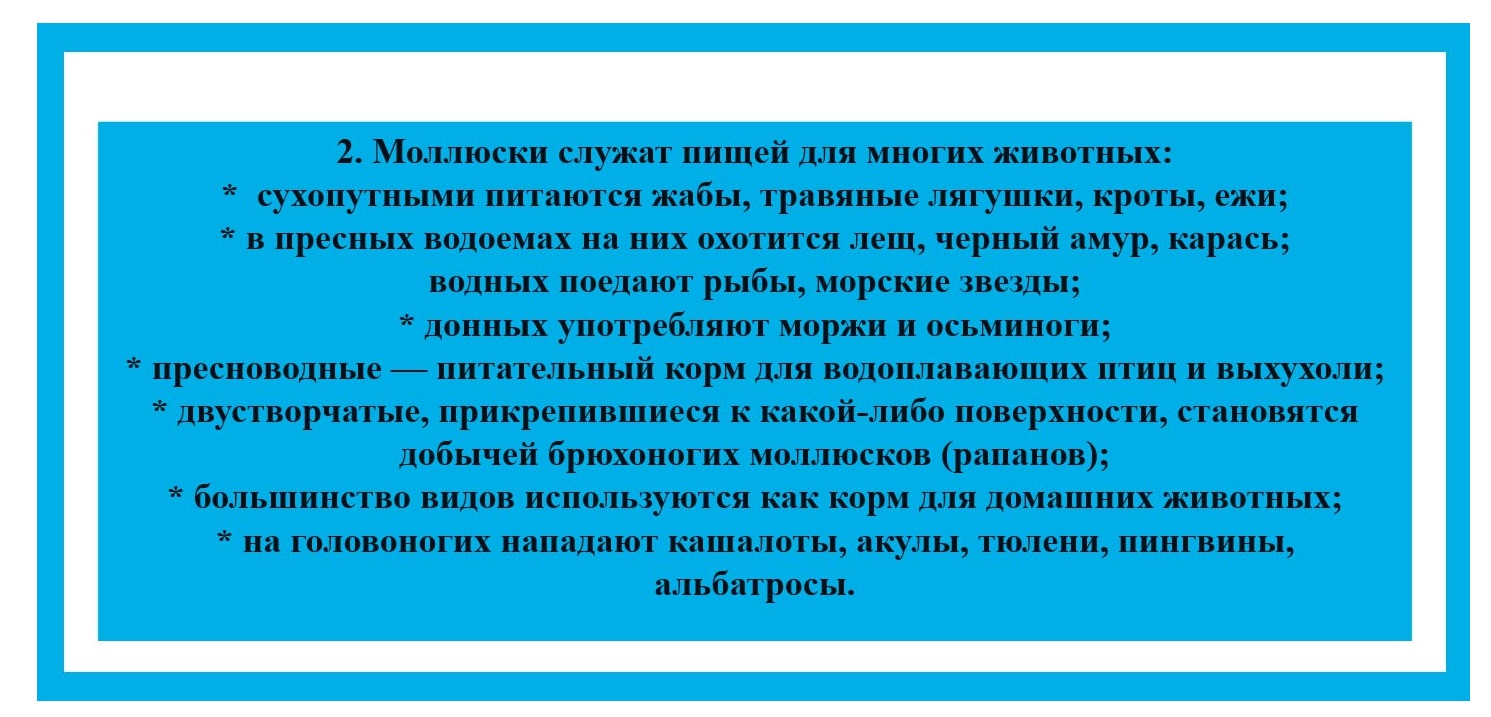  Биология 8 класс учебник Пасечник страница 131. 2023 год