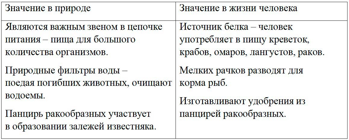 Биология 8 класс учебник Пасечник страница 106. 2023 год Биология 8 класс учебник Пасечник страница 106. 2023 год