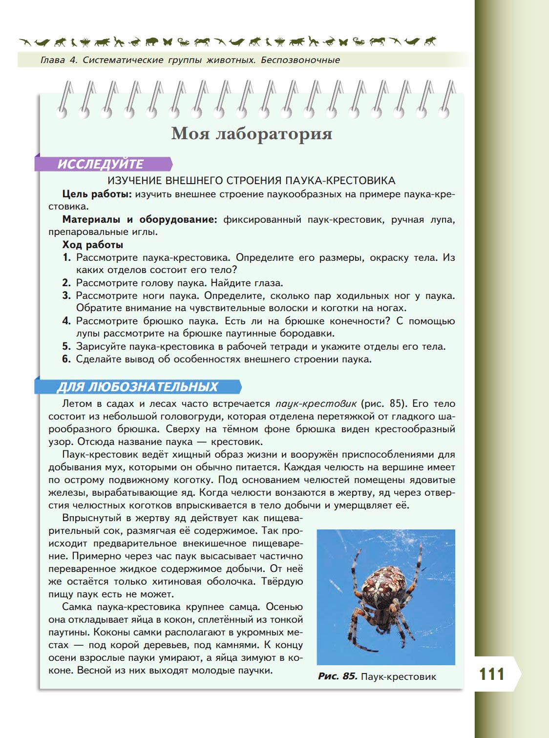 Биология 8 класс учебник Пасечник страница 111. 2023 год Биология 8 класс учебник Пасечник страница 111. 2023 год