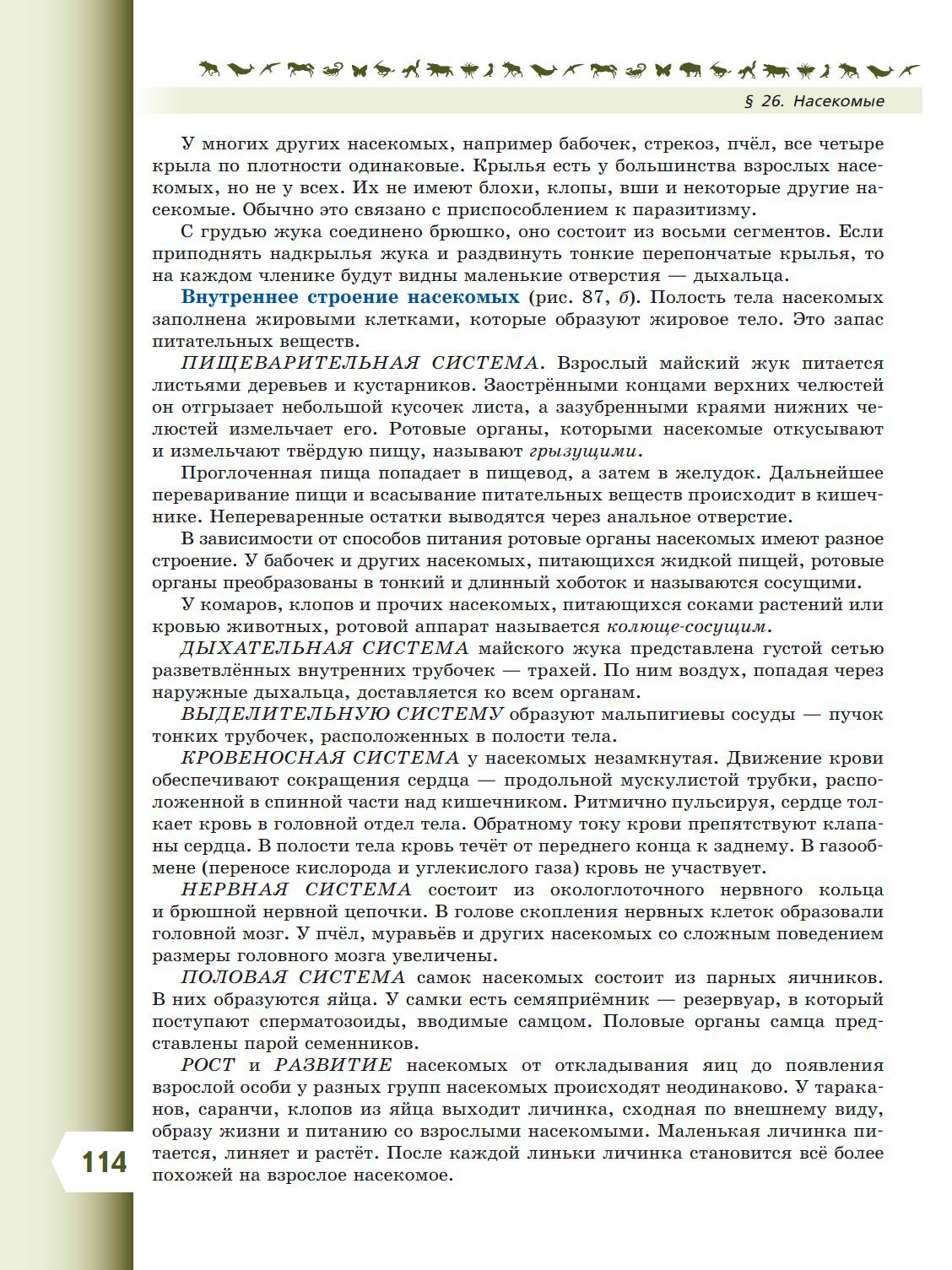 Биология 8 класс учебник Пасечник страница 114. 2023 год Биология 8 класс учебник Пасечник страница 114. 2023 год