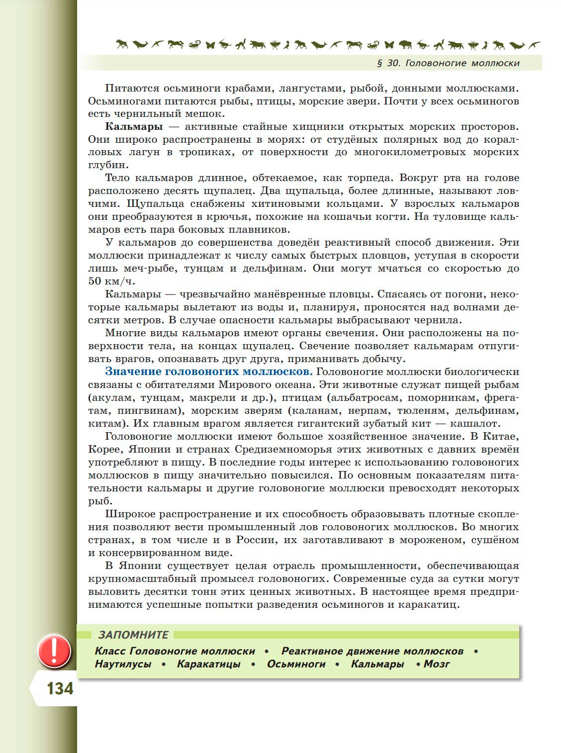 Биология 8 класс учебник Пасечник страница 134. 2023 год Биология 8 класс учебник Пасечник страница 134. 2023 год