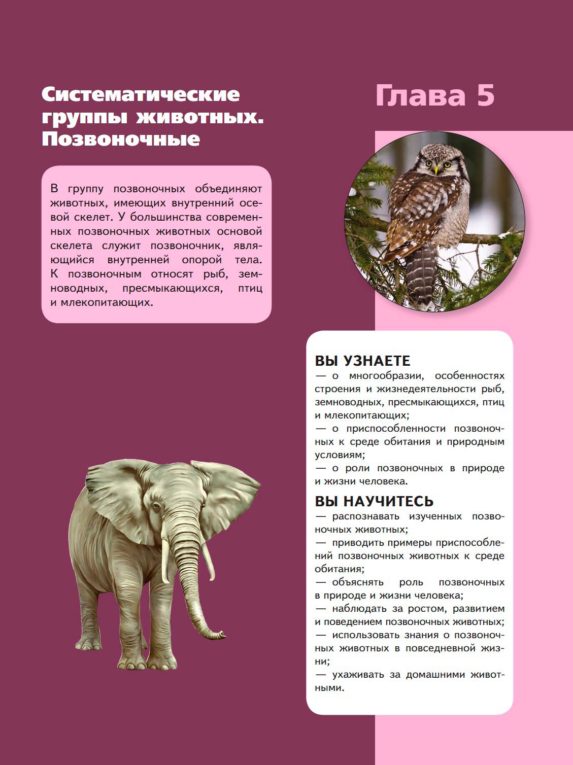 Биология 8 класс учебник Пасечник страница 139. 2023 год Биология 8 класс учебник Пасечник страница 139. 2023 год