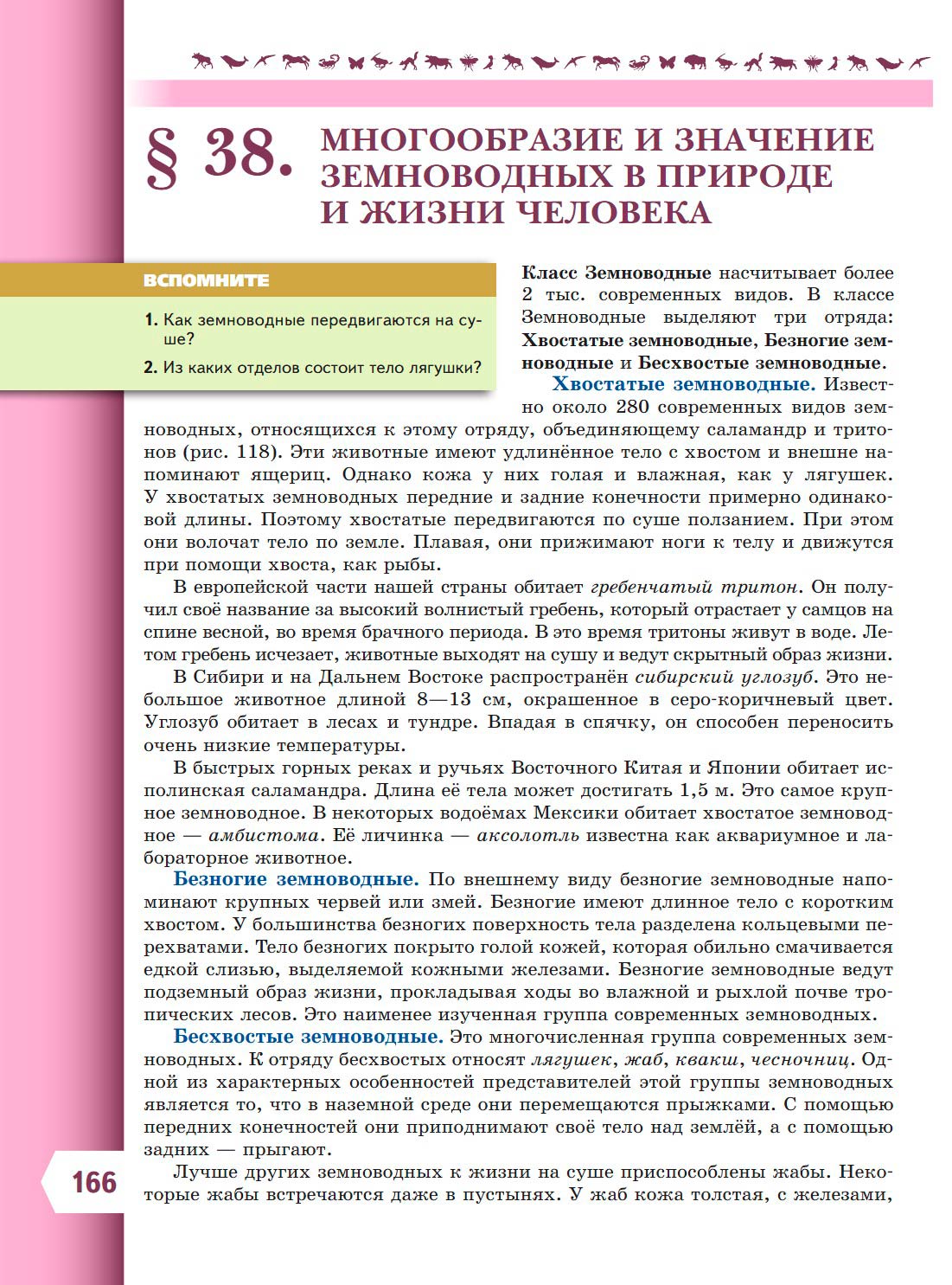 Биология 8 класс учебник Пасечник страница 166. 2023 год Биология 8 класс учебник Пасечник страница 166. 2023 год