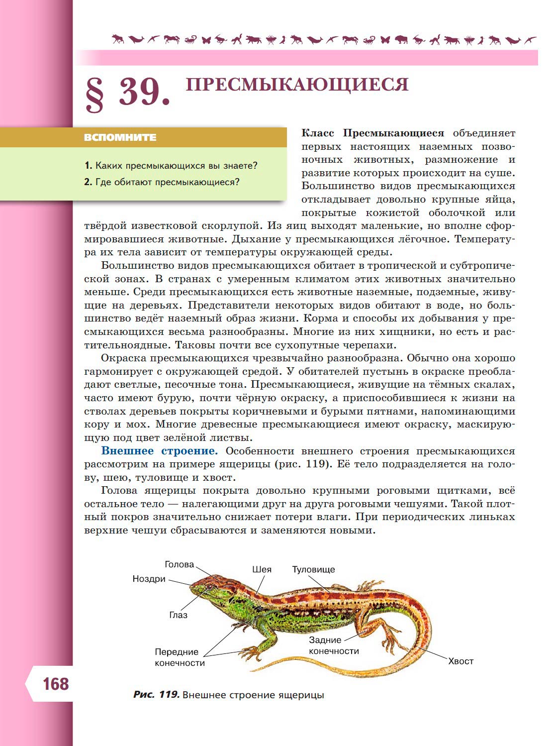 Биология 8 класс учебник Пасечник страница 168. 2023 год Биология 8 класс учебник Пасечник страница 168. 2023 год