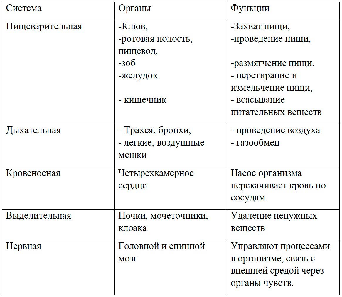 Биология 8 класс учебник Пасечник страница 185. 2023 год Биология 8 класс учебник Пасечник страница 185. 2023 год