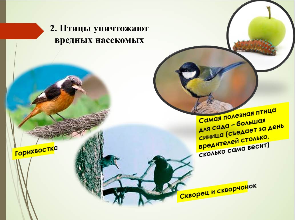 Биология 8 класс учебник Пасечник страница 193. 2023 год