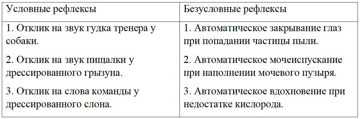 Биология 8 класс учебник Пасечник страница 205. 2023 год Биология 8 класс учебник Пасечник страница 205. 2023 год