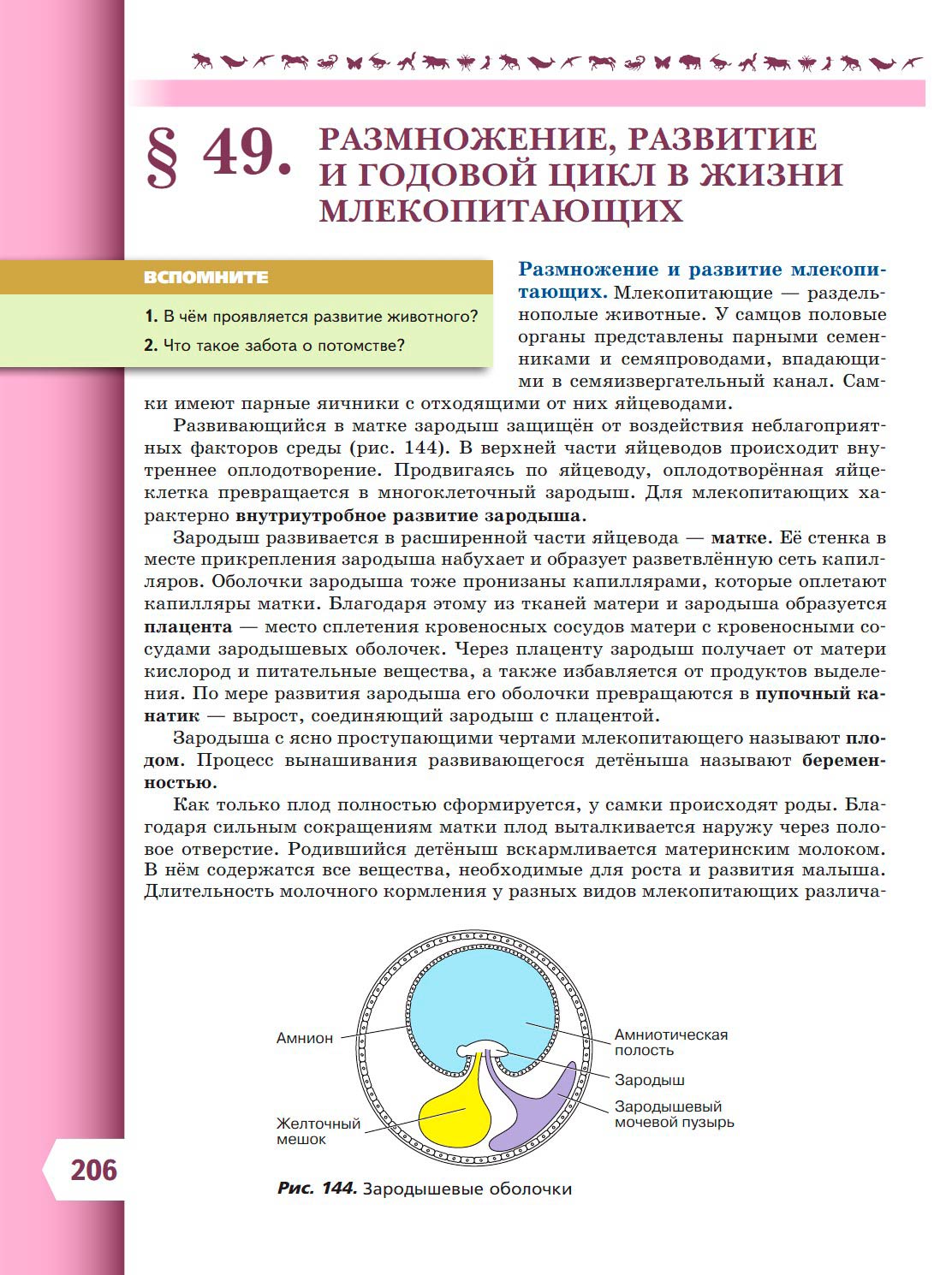 Биология 8 класс учебник Пасечник страница 206. 2023 год Биология 8 класс учебник Пасечник страница 206. 2023 год