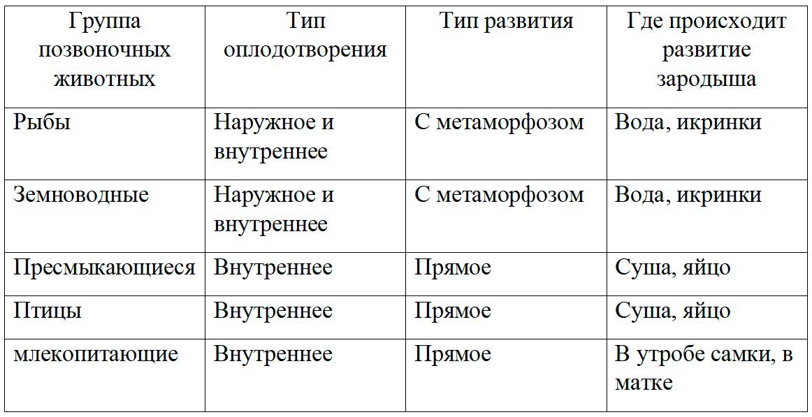 Биология 8 класс учебник Пасечник страница 209. 2023 год Биология 8 класс учебник Пасечник страница 209. 2023 год