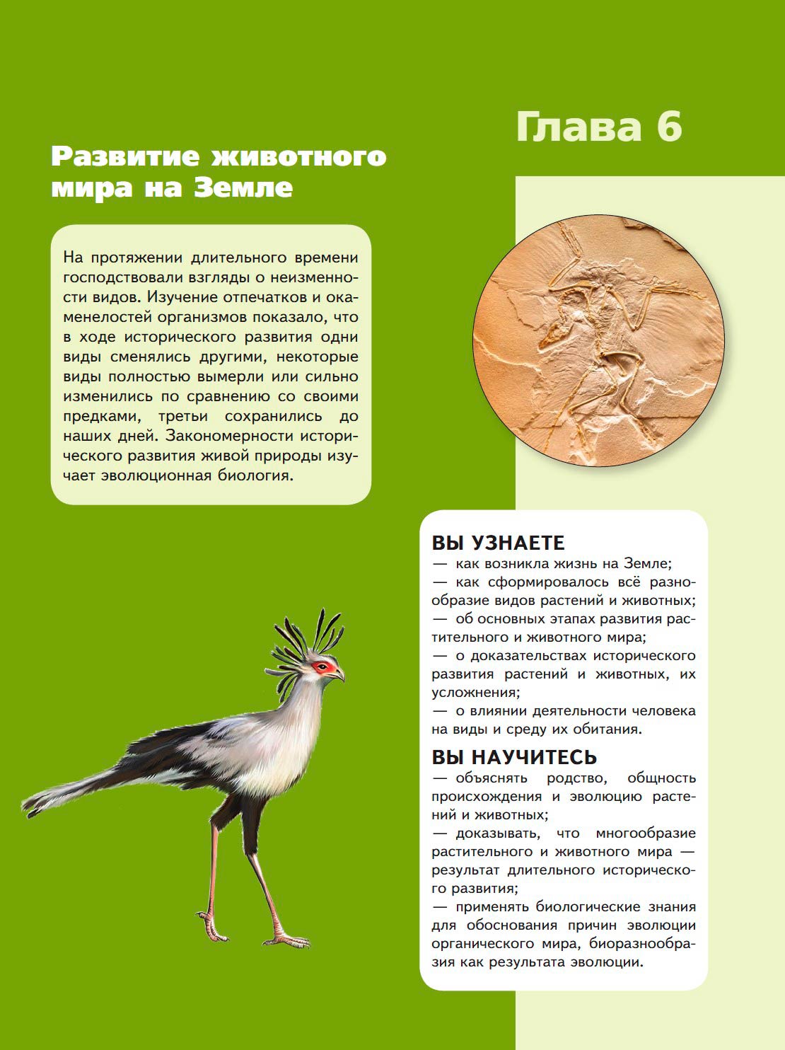 Биология 8 класс учебник Пасечник страница 223. 2023 год Биология 8 класс учебник Пасечник страница 223. 2023 год
