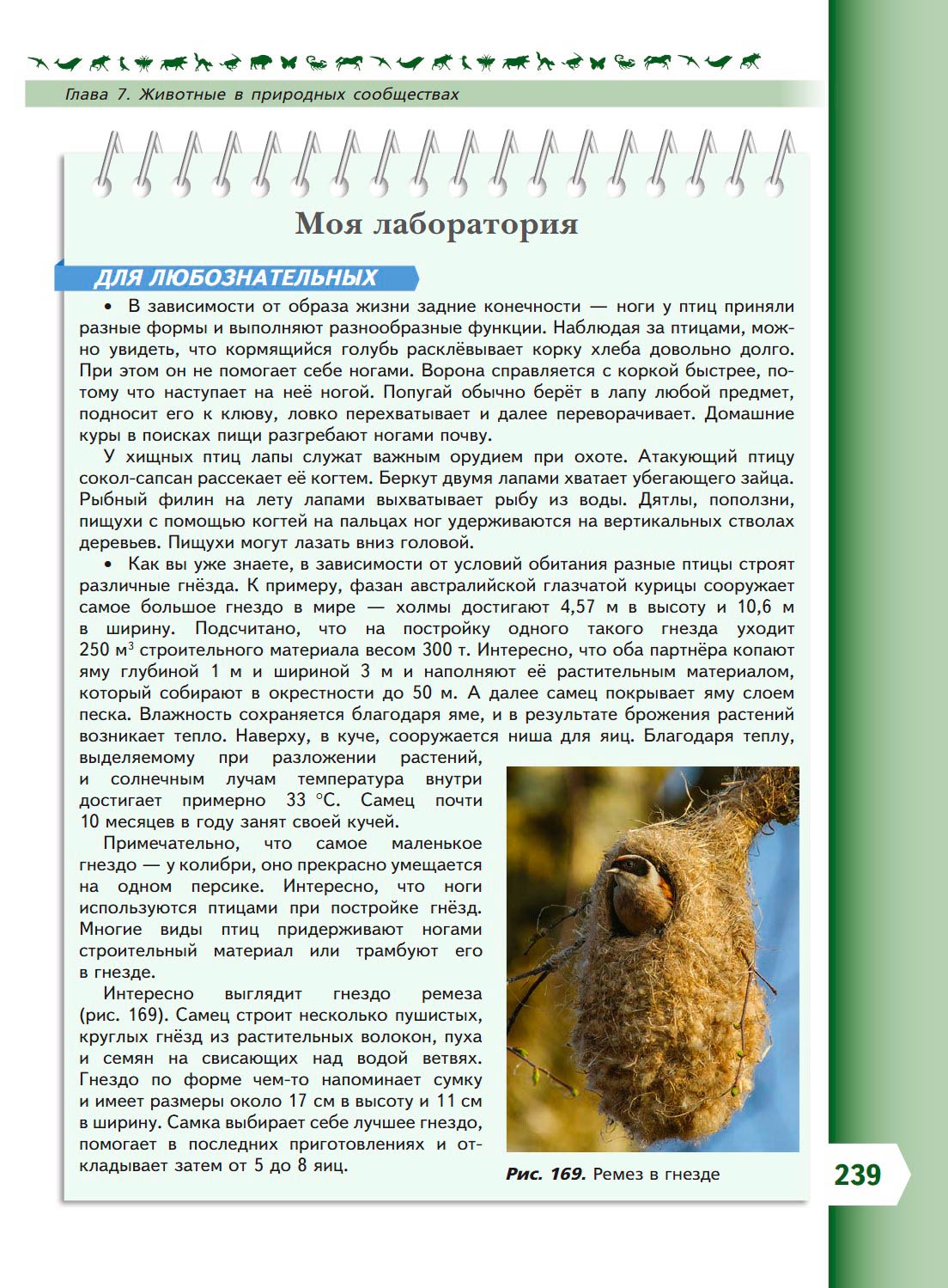 Биология 8 класс учебник Пасечник страница 239. 2023 год Биология 8 класс учебник Пасечник страница 239. 2023 год