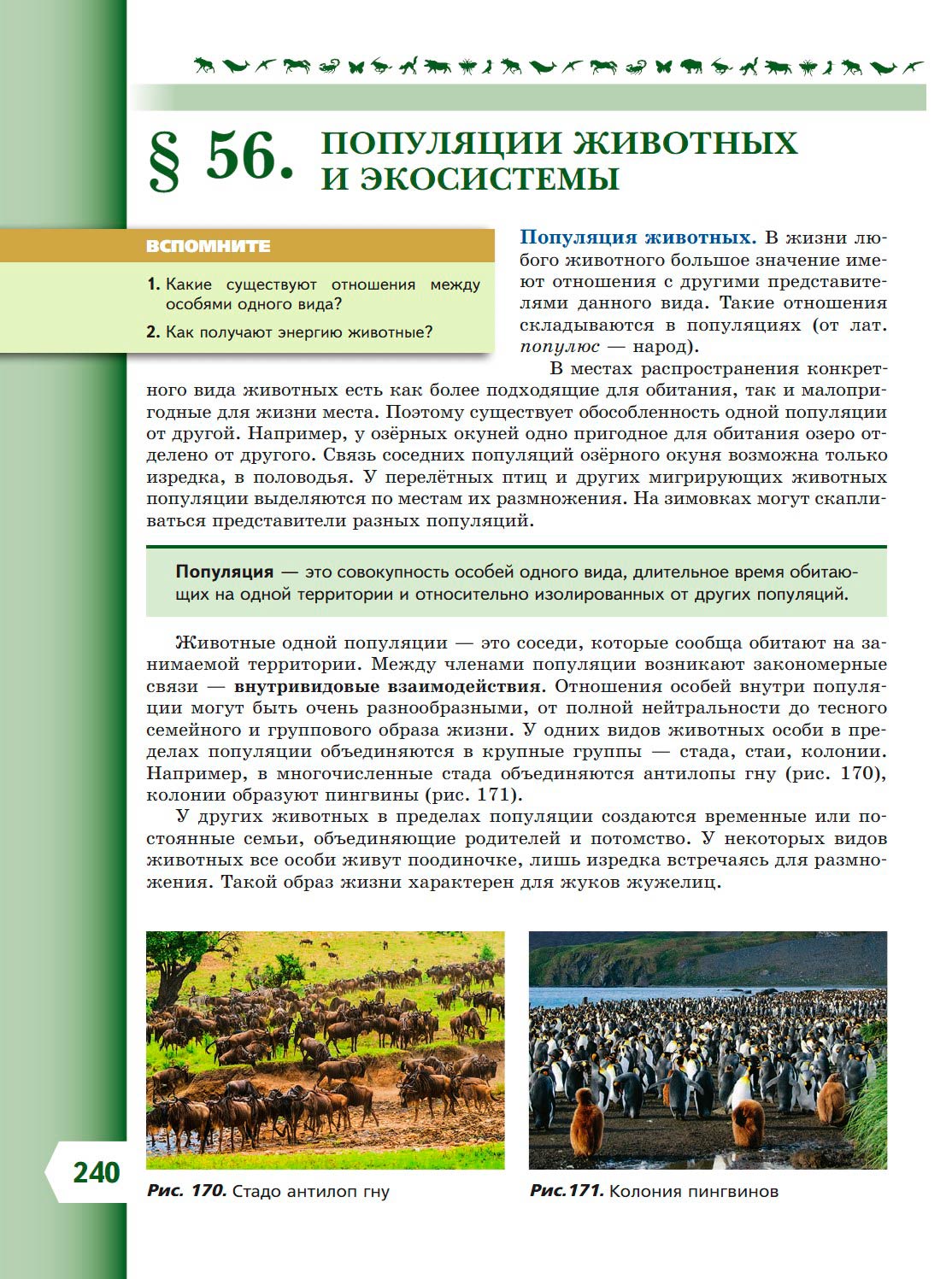Биология 8 класс учебник Пасечник страница 240. 2023 год Биология 8 класс учебник Пасечник страница 240. 2023 год
