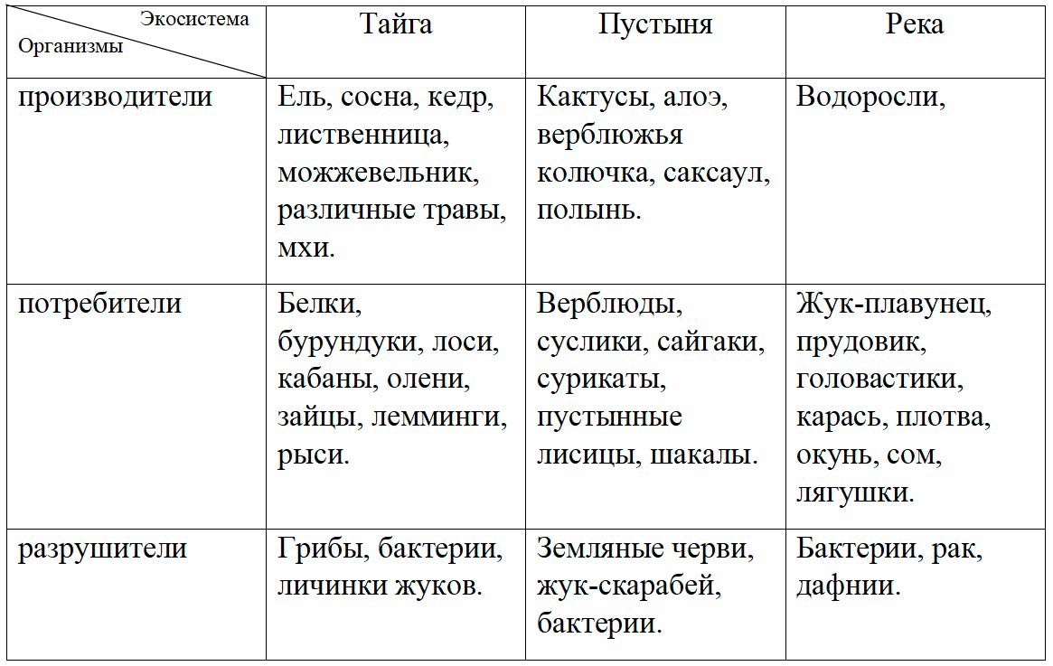 Биология 8 класс учебник Пасечник страница 243. 2023 год Биология 8 класс учебник Пасечник страница 243. 2023 год