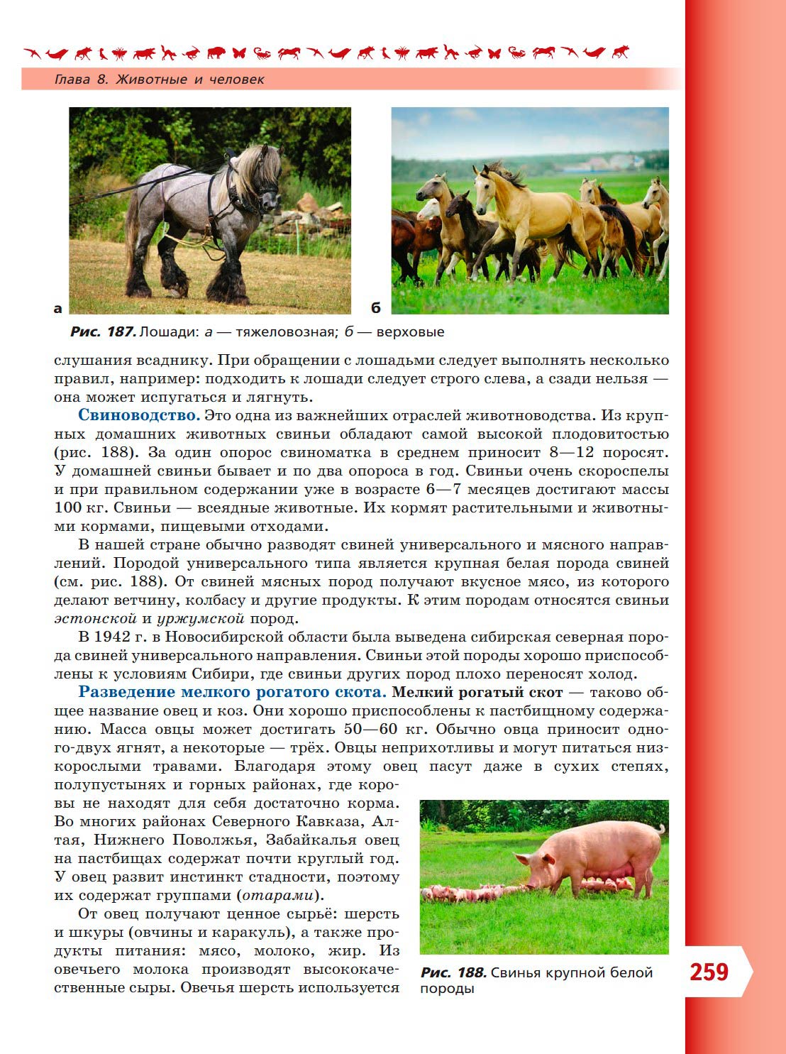 Биология 8 класс учебник Пасечник страница 259. 2023 год Биология 8 класс учебник Пасечник страница 259. 2023 год