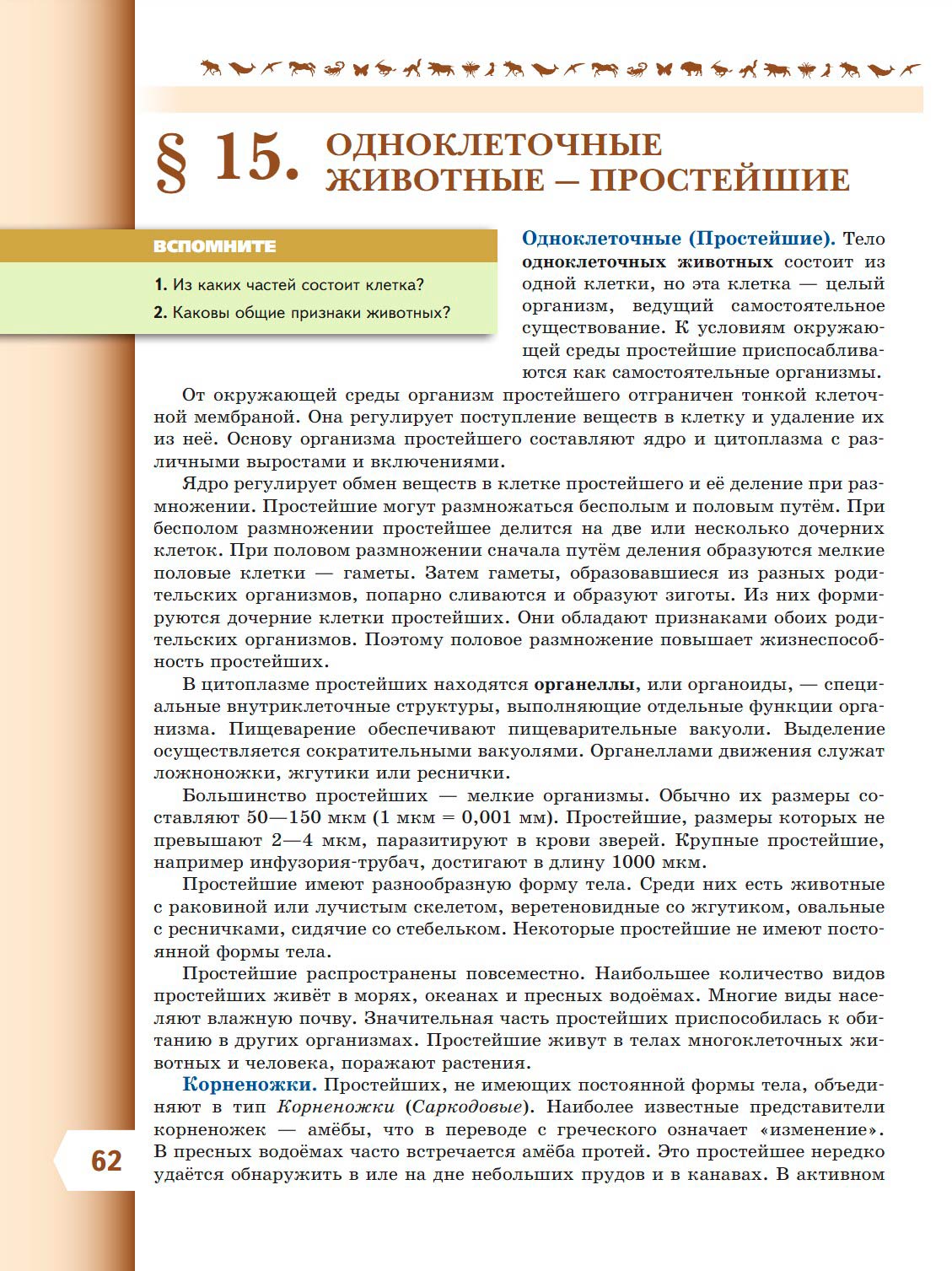 Биология 8 класс учебник Пасечник страница 62. 2023 год Биология 8 класс учебник Пасечник страница 62. 2023 год