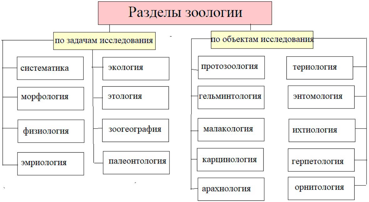 Биология 8 класс учебник Пасечник страница 9. 2023 год Биология 8 класс учебник Пасечник страница 9. 2023 год