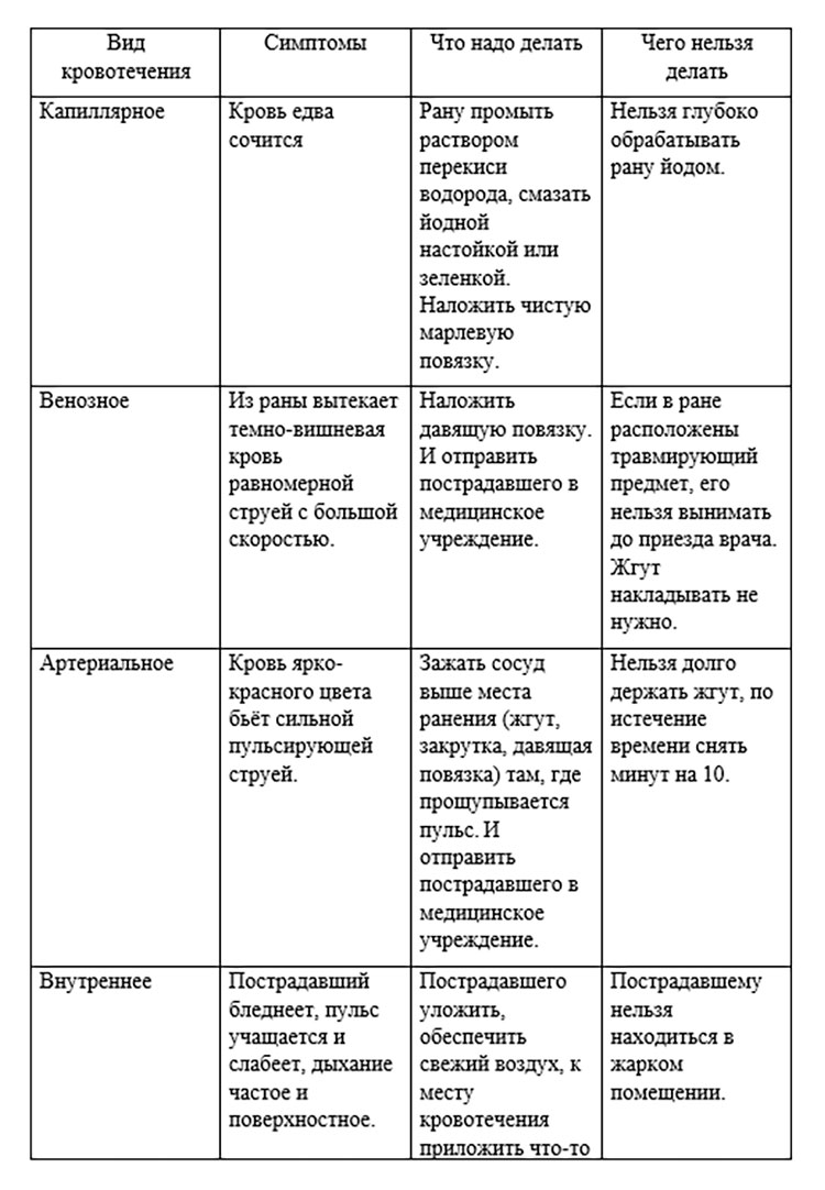 Биология учебник 9 класс. 2023 год. Авторы: Пасечник В. В., Суматохин С. В., страница 123.