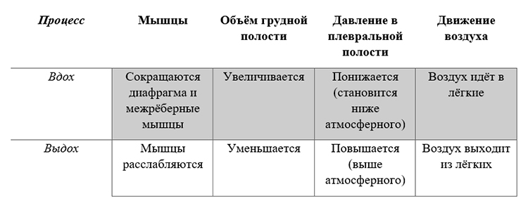Биология учебник 9 класс. 2023 год. Авторы: Пасечник В. В., Суматохин С. В., страница 140.