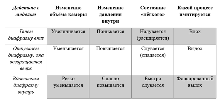 Биология учебник 9 класс. 2023 год. Авторы: Пасечник В. В., Суматохин С. В., страница 140.