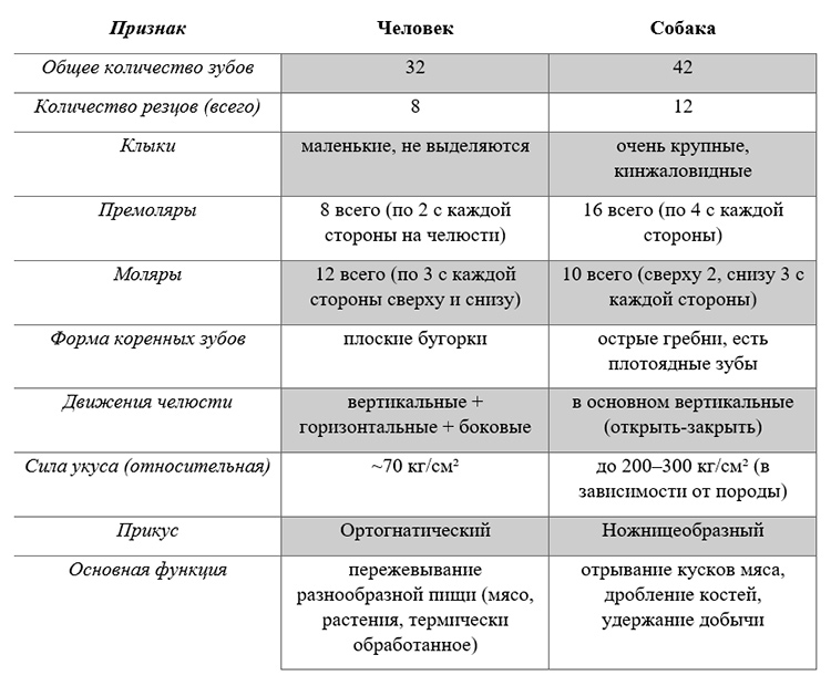 Биология учебник 9 класс. 2023 год. Авторы: Пасечник В. В., Суматохин С. В., страница 160.