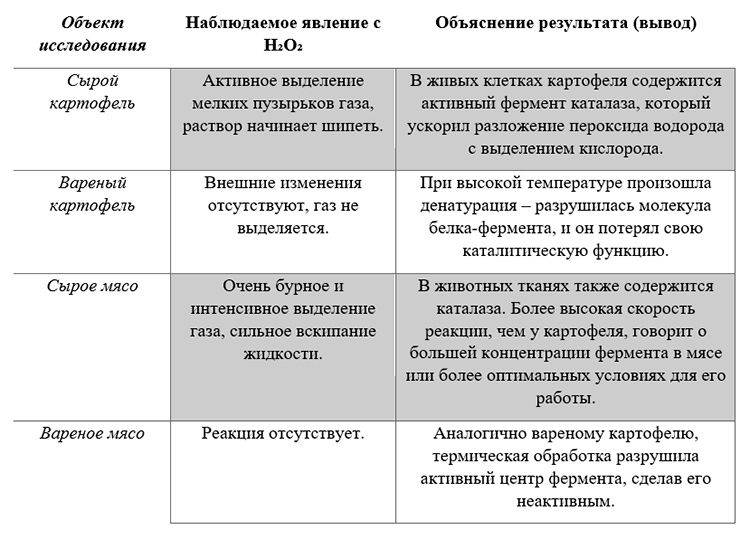 Биология учебник 9 класс. 2023 год. Авторы: Пасечник В. В., Суматохин С. В., страница 174.
