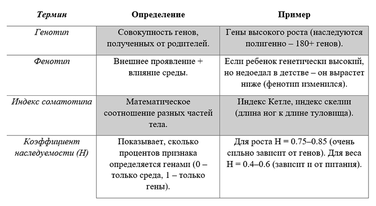 Биология учебник 9 класс. 2023 год. Авторы: Пасечник В. В., Суматохин С. В., страница 212.