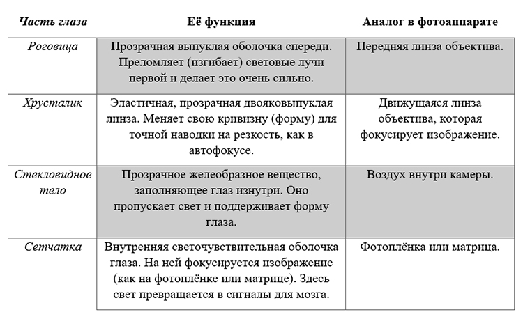 Биология учебник 9 класс. 2023 год. Авторы: Пасечник В. В., Суматохин С. В., страница 226.