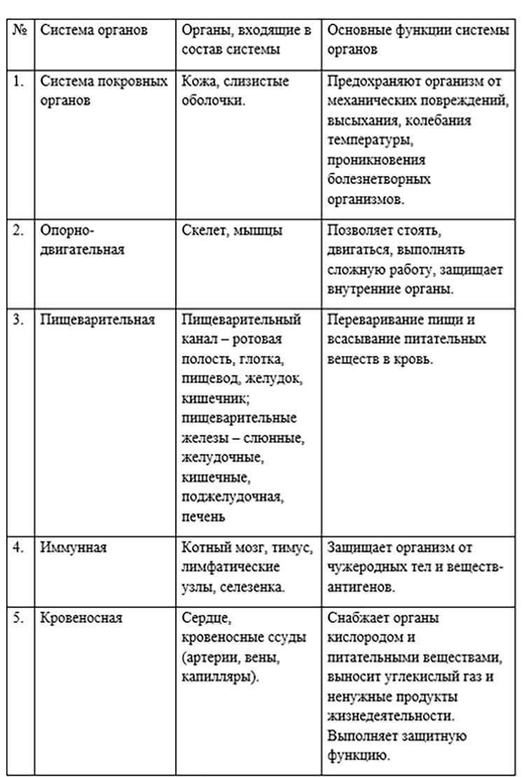 Биология учебник 9 класс. 2023 год. Авторы: Пасечник В. В., Суматохин С. В., страница 42.