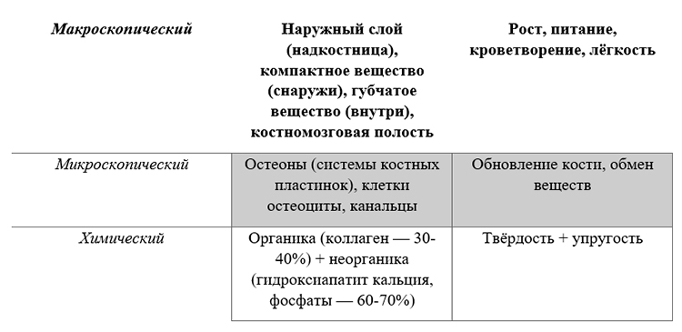Биология учебник 9 класс. 2023 год. Авторы: Пасечник В. В., Суматохин С. В., страница 44.