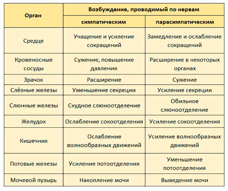 Биология учебник 9 класс. 2023 год. Авторы: Пасечник В. В., Суматохин С. В., страница 61.