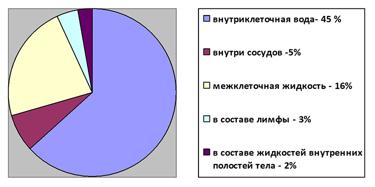 Биология учебник 9 класс. 2023 год. Авторы: Пасечник В. В., Суматохин С. В., страница 96.