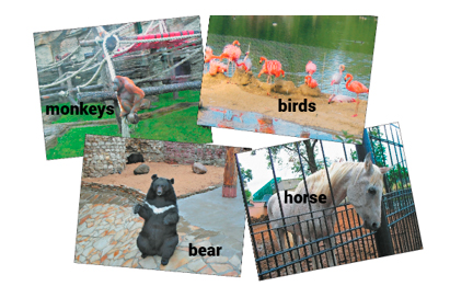 Английский 2 класс учебник Вербицкая страница 46, задание 8