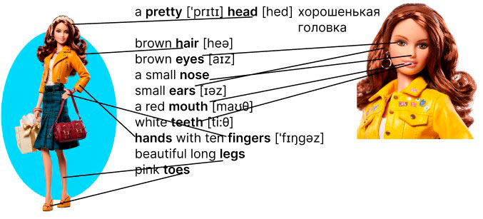 английский язык 3 класс учебник Кузовлев, Лапа, часть 2, страница 6, номер 1. (2021).