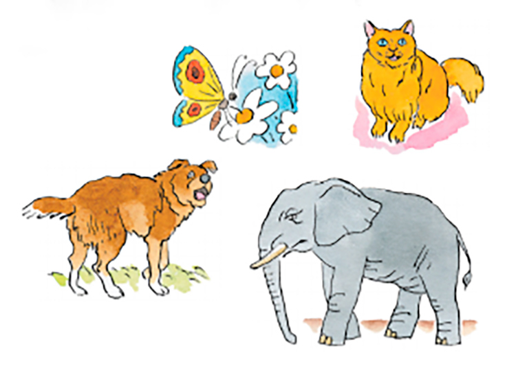 Английский язык 3 класс Учебник Вербицкая 1 часть, год: 2020-2021, страница 51, задание 14