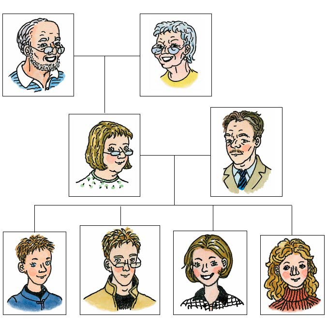 Картинка из учебника Rainbow по английскому языку 4 класс, страница 27 номер 2. Афанасьева, Михеева. 1 часть. 2021 год