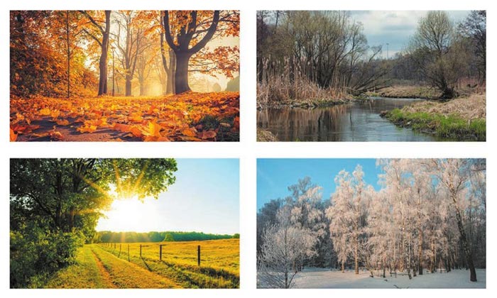 Картинка из учебника по английскому языку 4 класс, страница 13 номер 1. Афанасьева, Михеева. 1 часть. 2021 год