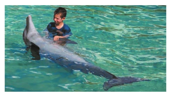 Картинка из учебника по английскому языку 4 класс, страница 21 номер 6. Афанасьева, Михеева. 1 часть. 2021 год