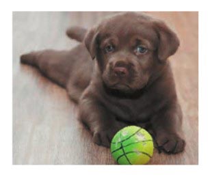 Картинка из учебника по английскому языку 4 класс, страница 27 номер 4. Афанасьева, Михеева. 1 часть. 2021 год