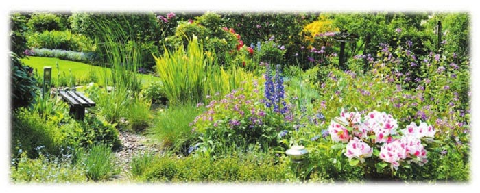 Картинка из учебника по английскому языку 4 класс, страница 37 номер 5. Афанасьева, Михеева. 1 часть. 2021 год