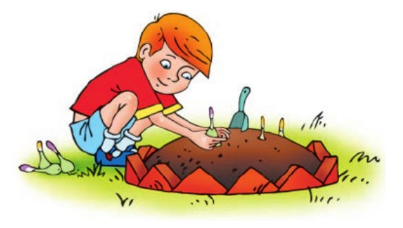 Картинка из учебника по английскому языку 4 класс, страница 41 номер 3. Афанасьева, Михеева. 1 часть. 2021 год