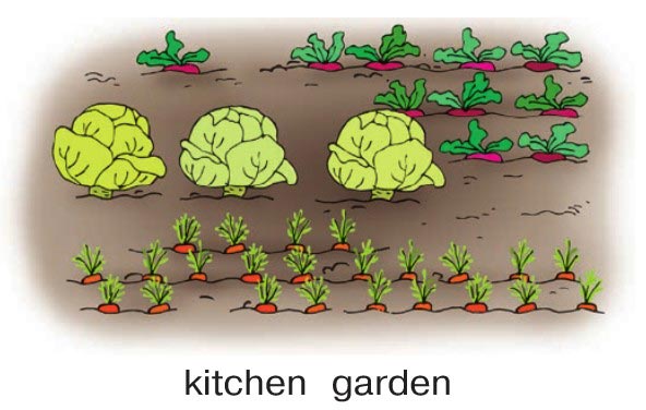 Картинка из учебника по английскому языку 4 класс, страница 94 номер 4. Афанасьева, Михеева. 1 часть. 2021 год