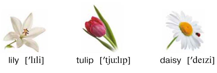 Картинка из учебника Dialogue по английскому языку 4 класс, страница 17 номер 2. Афанасьева, Михеева. 2 часть. 2021 год