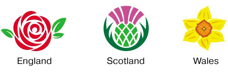 Картинка из учебника Dialogue по английскому языку 4 класс, страница 85 номер 1. Афанасьева, Михеева. 2 часть. 2021 год