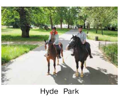 Картинка из учебника Dialogue по английскому языку 4 класс, страница 98 номер 1. Афанасьева, Михеева. 2 часть. 2021 год