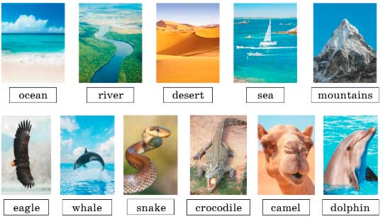  английский язык 4 класс учебник Биболетова, страница 45, номер 35. (2020).